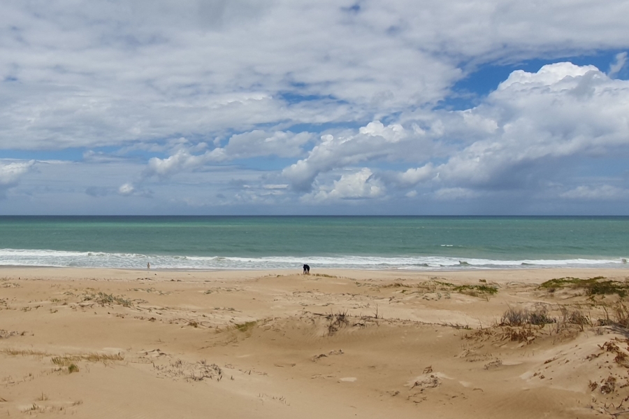 0 Bedroom Property for Sale in Paradise Beach Eastern Cape